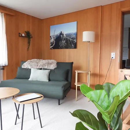 شقة Viewpoint رينغنبرغ