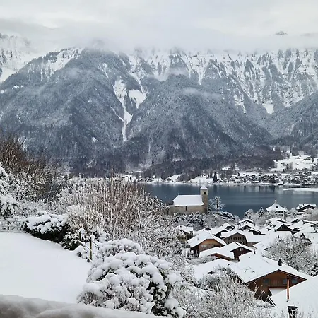 아파트 Viewpoint 링겐베르크