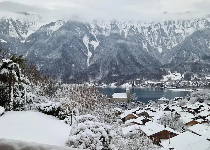 아파트 Viewpoint 링겐베르크